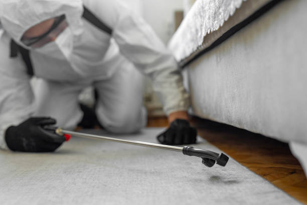Professional Termite Control technician working in Asotin, WA