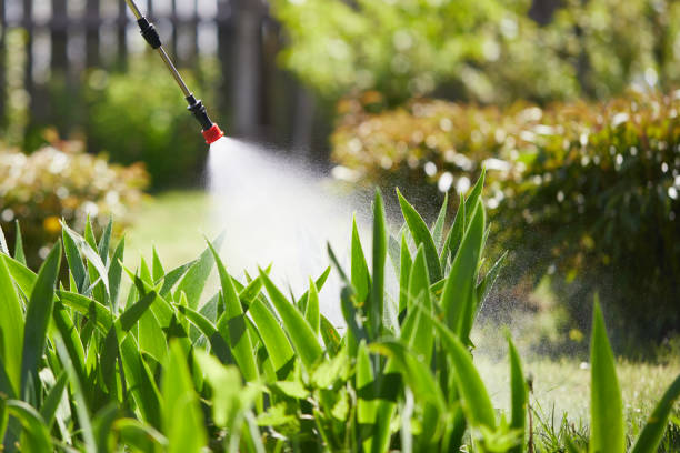 24/7 Emergency Termite Control experts in Asotin, WA